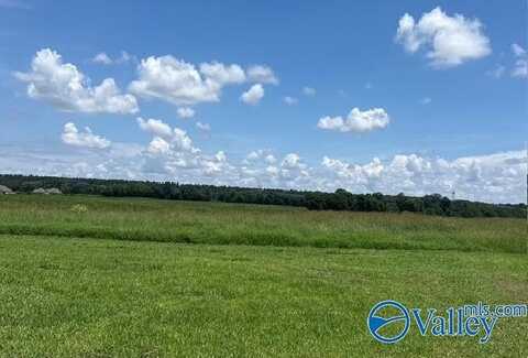 23.75 Acres Alabama Highway 251, Toney, AL 35773