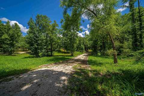 2.36 Acres County Road 336, Piedmont, AL 36272