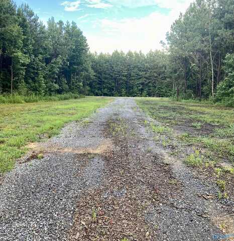 3109 County Road 41, Fyffe, AL 35971