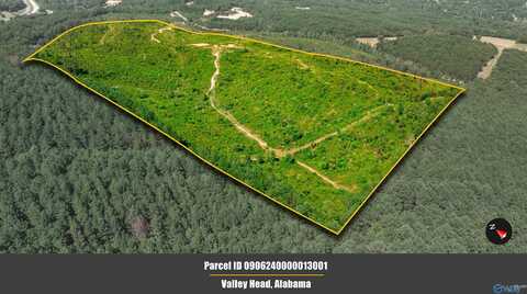 64 Acres Bethel Road, Valley Head, AL 35989