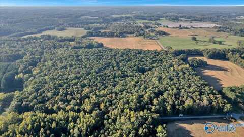 20 Acres Little Coffman Road, Lester, AL 35647