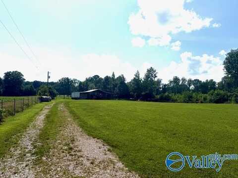 396 Billy D Harbin Road, New Market, AL 35761