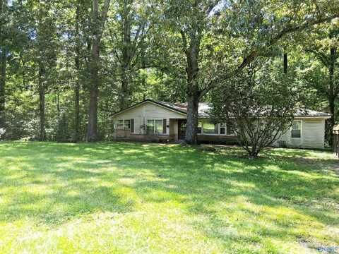 1385 Scant City Road, Guntersville, AL 35976