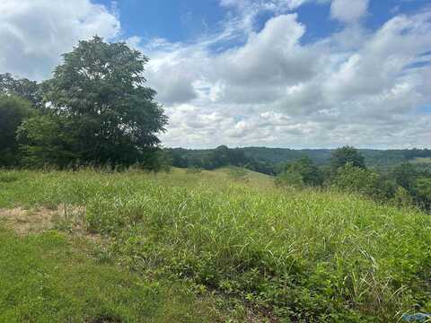 5a Young Hollow Road, Belvidere, TN 37306