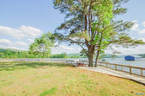 10174 County Road 67, Langston, AL 35755