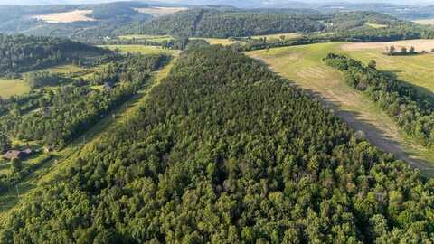 0-Lot 3 Buena Vista Street, Wellsboro, PA 16901