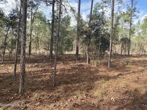 SW BUENA VISTA Road lot: 20, Dunnellon, FL 34431