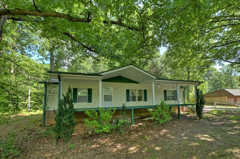 354 Circle Drive, Blue Ridge, GA 30513