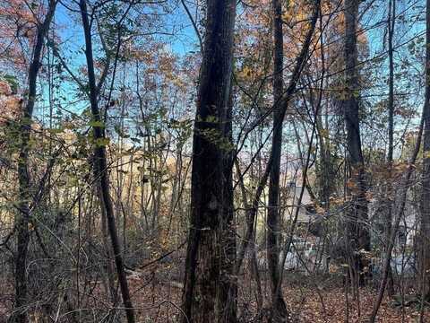 Lot 51j Indian Trail, Hayesville, NC 28904