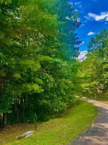 Lot22 Bryant Cove Road, Blairsville, GA 30512