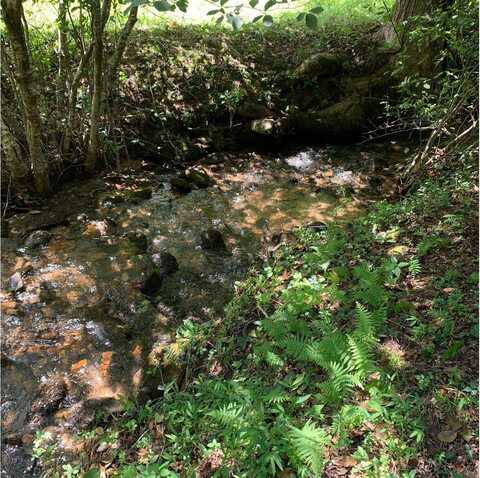 Lot20 Bryant Cove Road, Blairsville, GA 30512