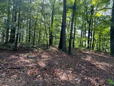 Tr10 Wendy Hill Road, Talking Rock, GA 30175