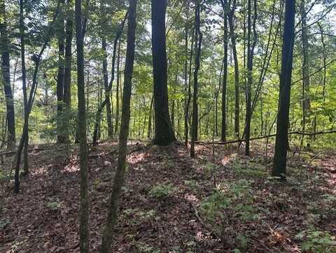 Tract 3 Wendy Hill Road, Talking Rock, GA 30175