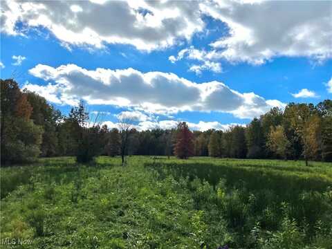 VL Parsons Road, Grafton, OH 44044