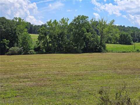 7.38 acres Rosseau Co. Rd. 13, Stockport, OH 43787