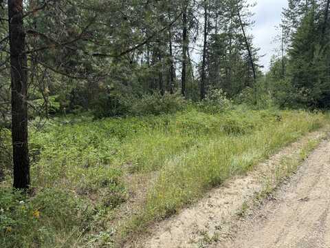 LOT 1 SPRINGDALE-HUNTERS RD, SPRINGDALE, WA 99173