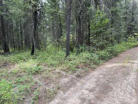 LOT 2 SPRINGDALE-HUNTERS RD, SPRINGDALE, WA 99173