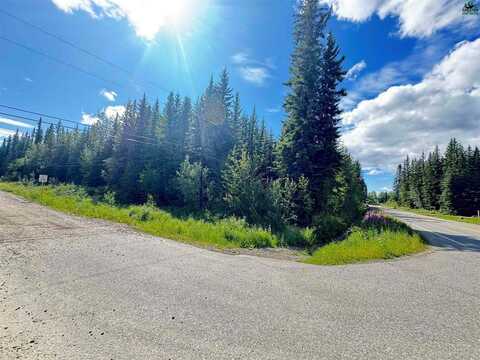 Nhn Christine Drive, North Pole, AK 99705