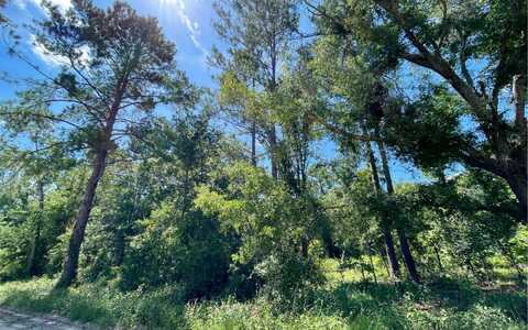 LOT 7 162ND TER, Mc Alpin, FL 32062