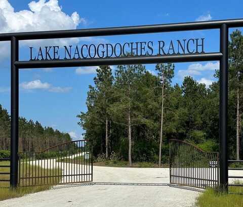 P38-54 Lake Point Passage, Douglass, TX 75943