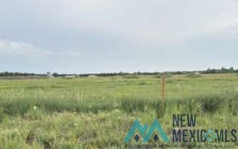 301 E Tumbleweed Road, Dexter, NM 88230