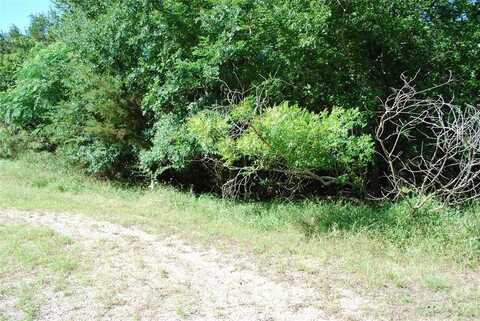 1685 Creekside Court, Whitney, TX 76692
