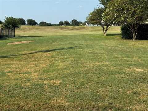 24086 Springwood Drive, Whitney, TX 76692