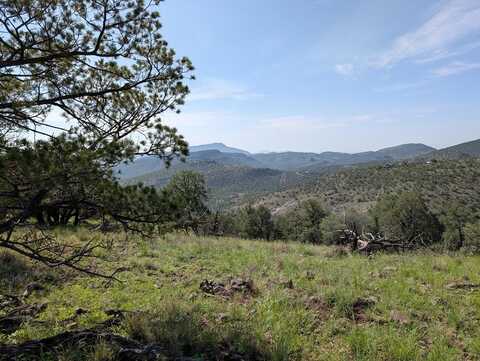 301 Low Meadow Trail, Fort Davis, TX 79734