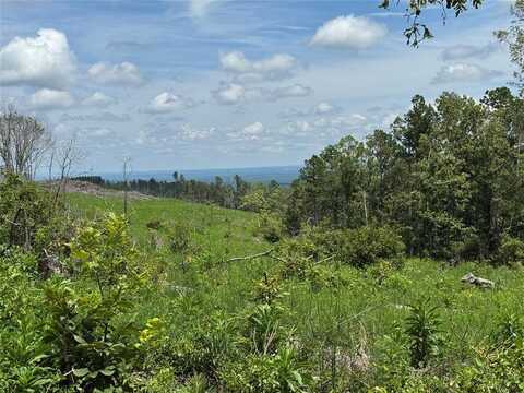 TBD, Smithville, OK 74957