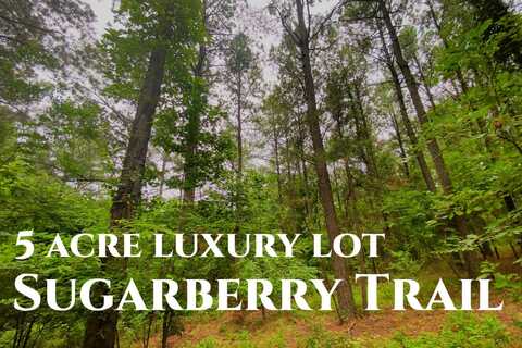 0000A Sugarberry Trail, Hochatown, OK 74728