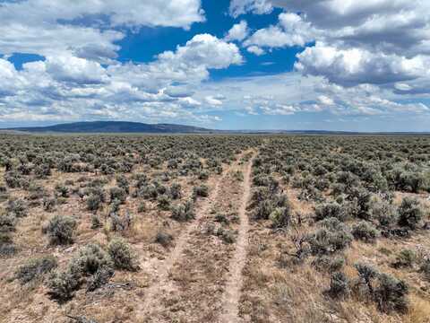 TL 500 Sheep Lake Road, Riley, OR 97758