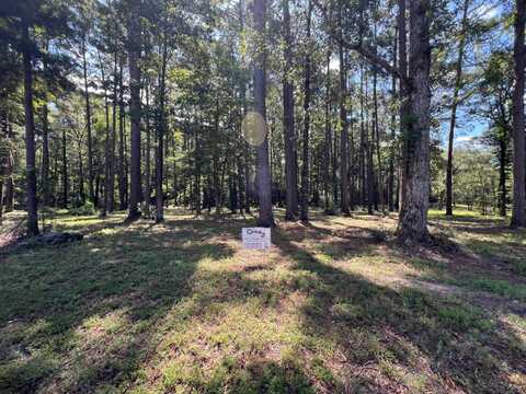 01 Chickamauga Drive and Ponderosa Lane, Zwolle, LA 71486
