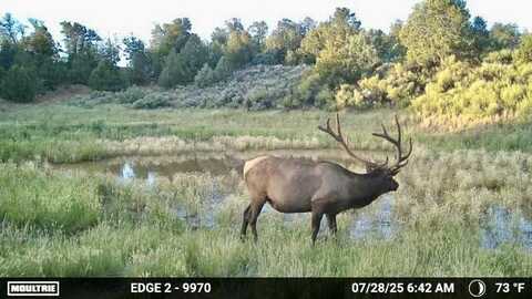 TBD Highway 595, Regina, NM 87046