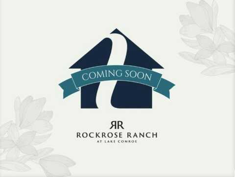 16 Open Range Trail, Willis, TX 77318