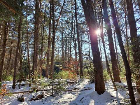 L 17 Rice Road, Hope, NY 12134
