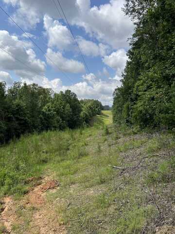 0 Mountain View Rd., Northport, AL 35475