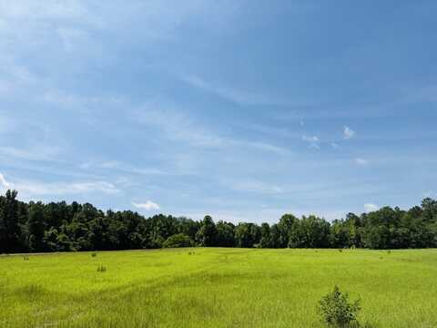 0 Elwell Ferry Rd, Kelly, NC 28448