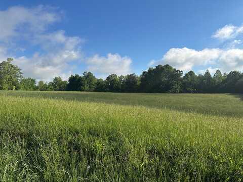 11 Speck Rd./Pittman Rd., Albany, KY 42602