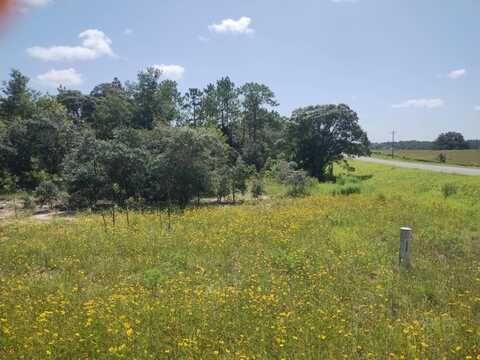 31 NE 136TH CT, WILLISTON, FL 32696