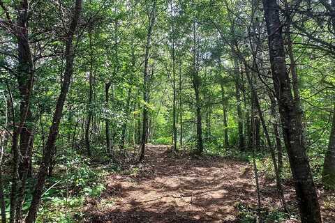 Lot 2 Lake Road, Phillips, WI 54555
