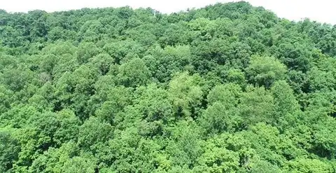 0 Youngs Hollow Road, Charleston, WV 25320