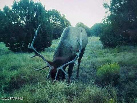 9860 Cortez Ranch Road, Williams, AZ 86320