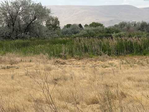 Tbd Patricia RD, Prosser, WA 99350