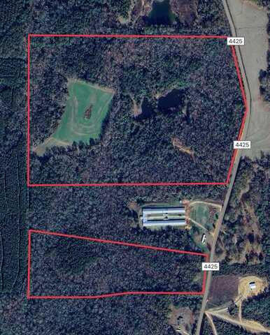 000 County Road 4425, Brundidge, AL 36010