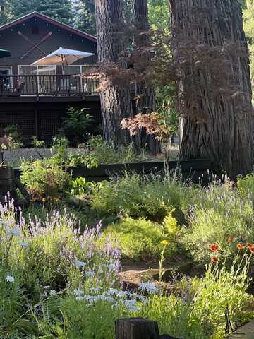 2723 Big Springs Road, Hamilton Branch, CA 96137