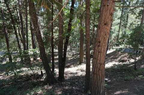 2021 Cedar Lane, Quincy, CA 95971