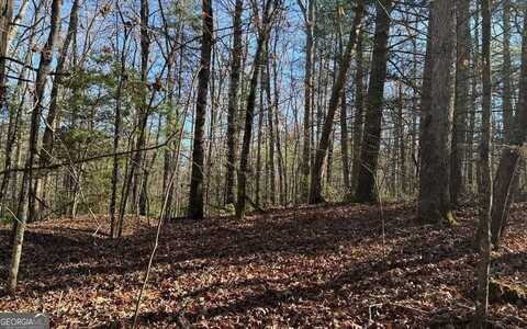 0 Mill Creek Acres, Blue Ridge, GA 30513