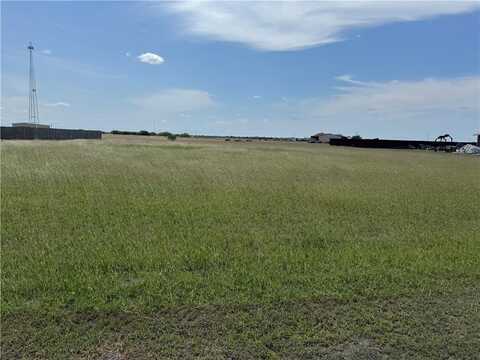 Anaqua, Orange Grove, TX 78003