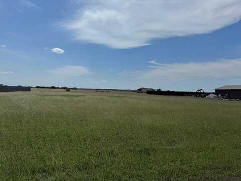 Anaqua, Orange Grove, TX 78003