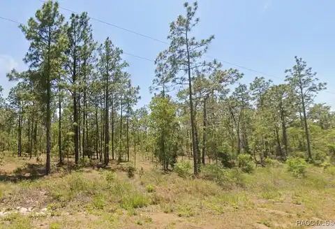 NW Water Oak Ave., Dunnellon, FL 34431